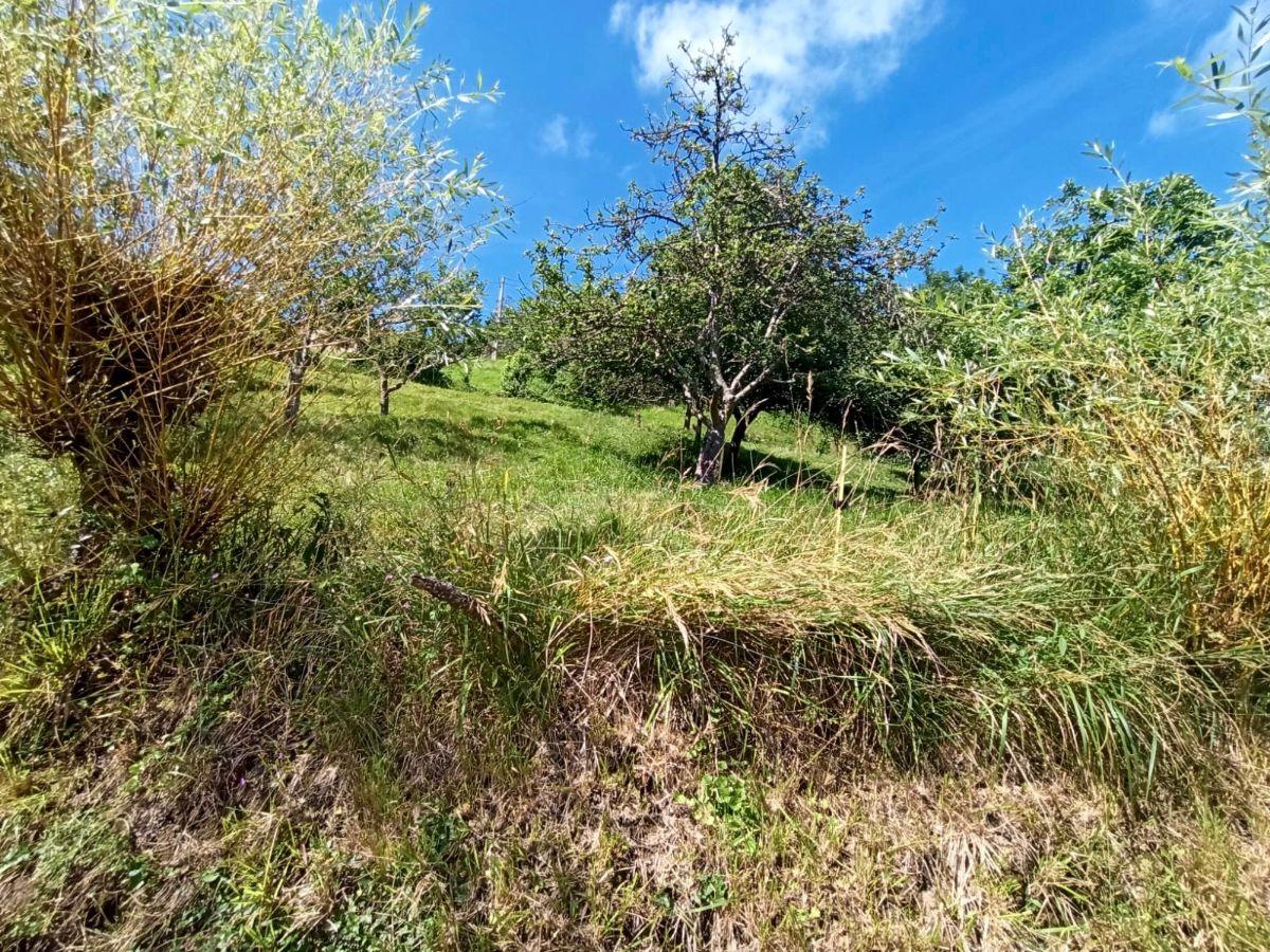 For sale of land in Piloña