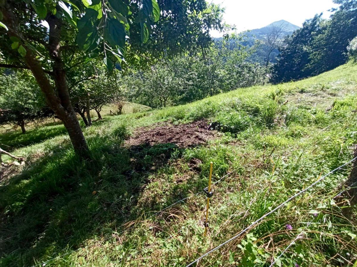 Venta de terreno en Piloña