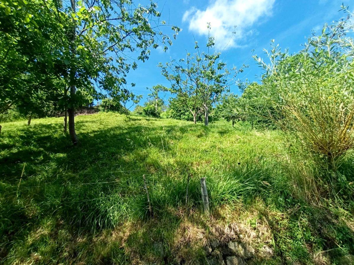 Venta de terreno en Piloña