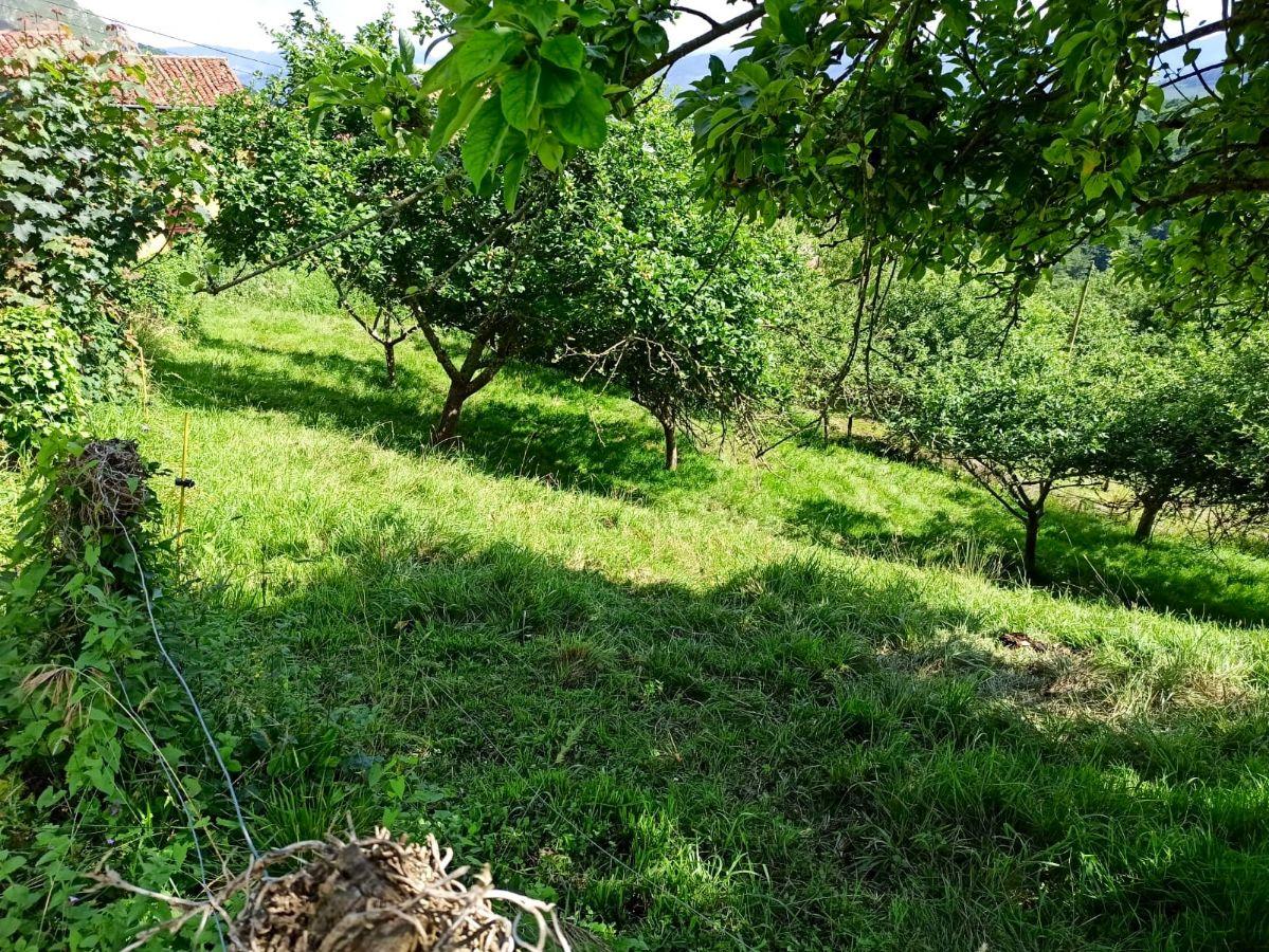 For sale of land in Piloña