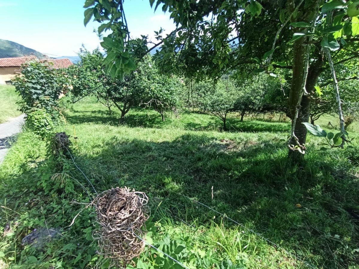 Venta de terreno en Piloña