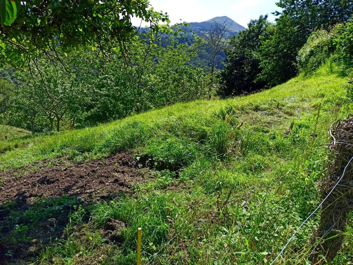 Venta de terreno en Piloña