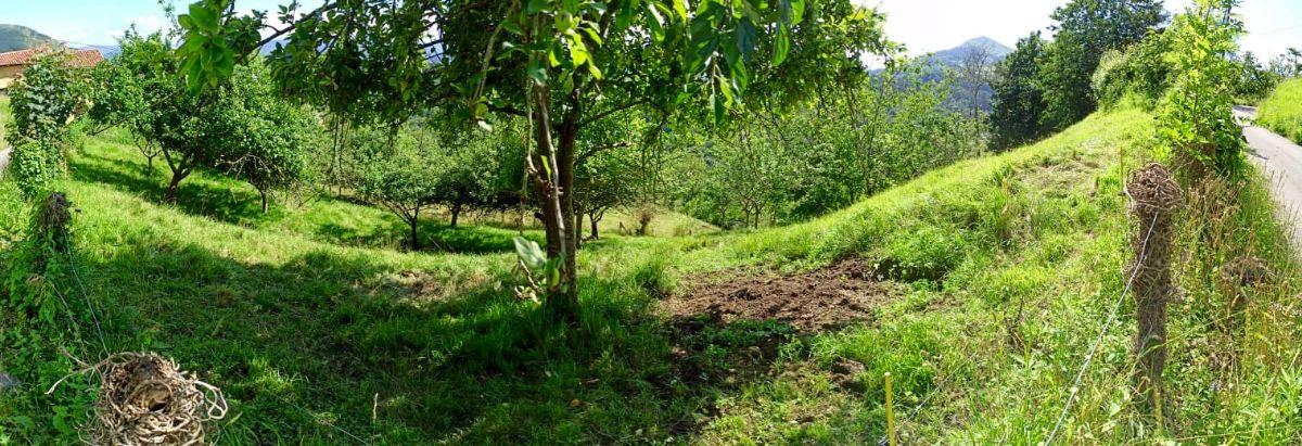 Venta de terreno en Piloña