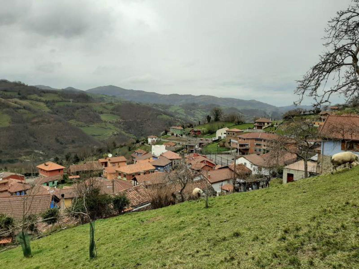 For sale of flat in Lena