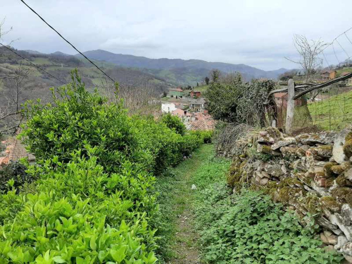 For sale of flat in Lena