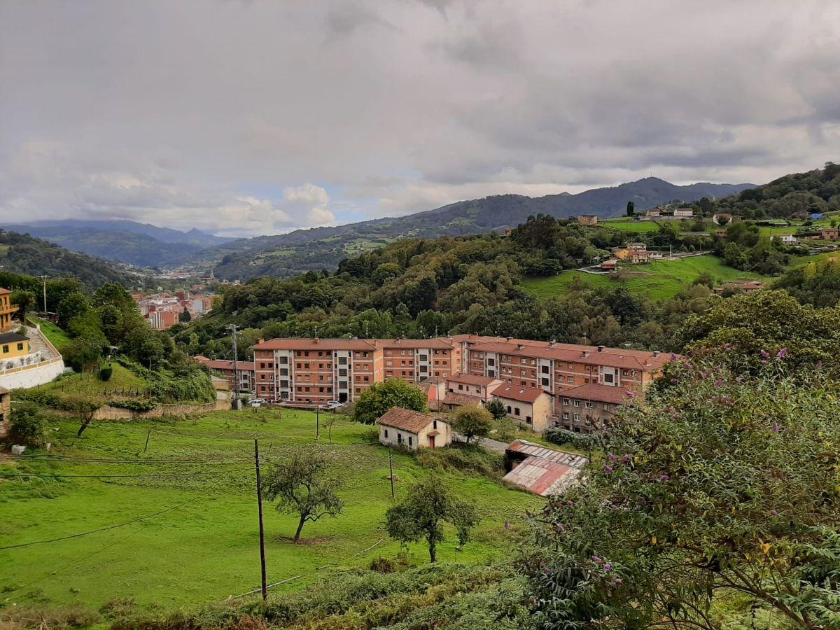 For sale of house in Langreo