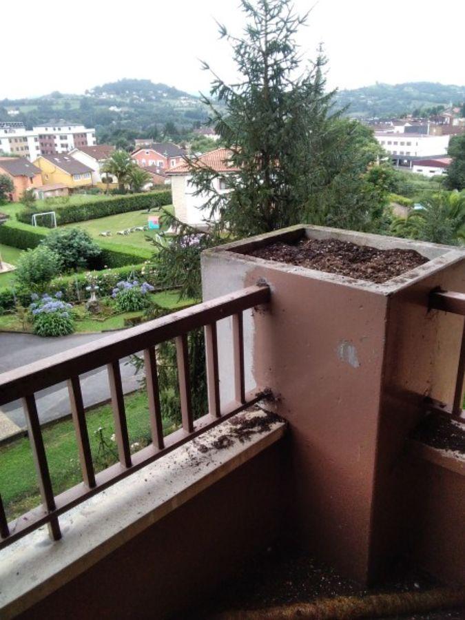 For sale of flat in Oviedo