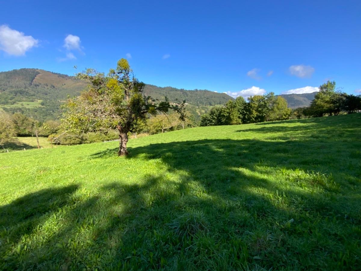 Venta de casa en Piloña