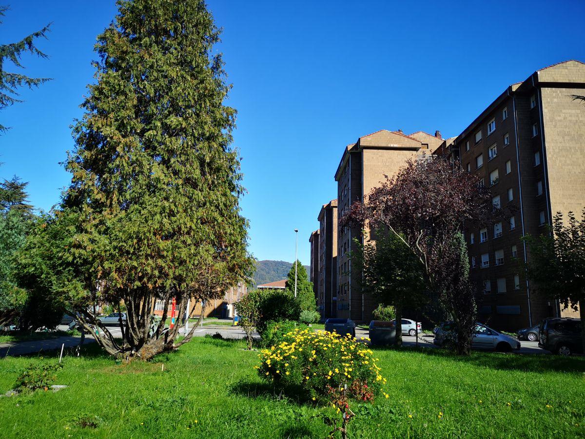 For sale of flat in Mieres Asturias