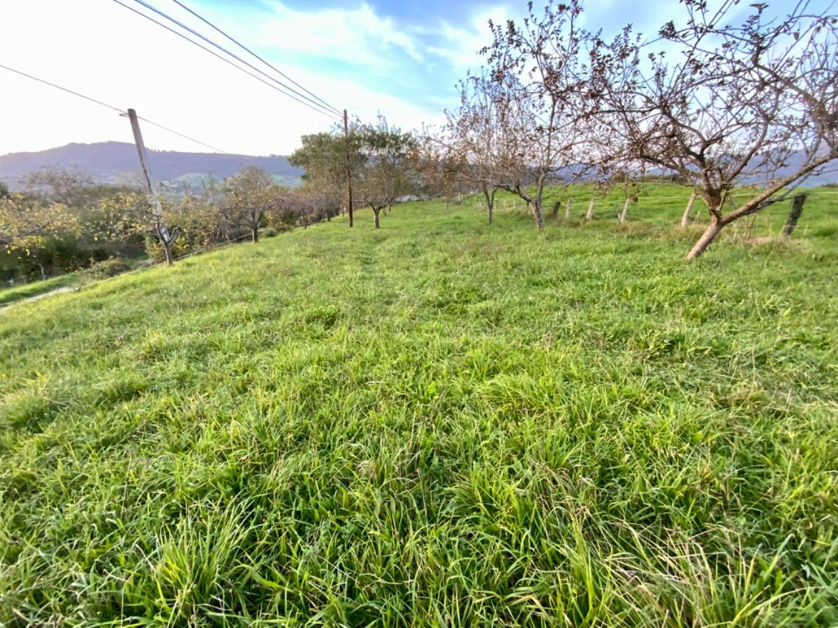 Venta de terreno en Piloña