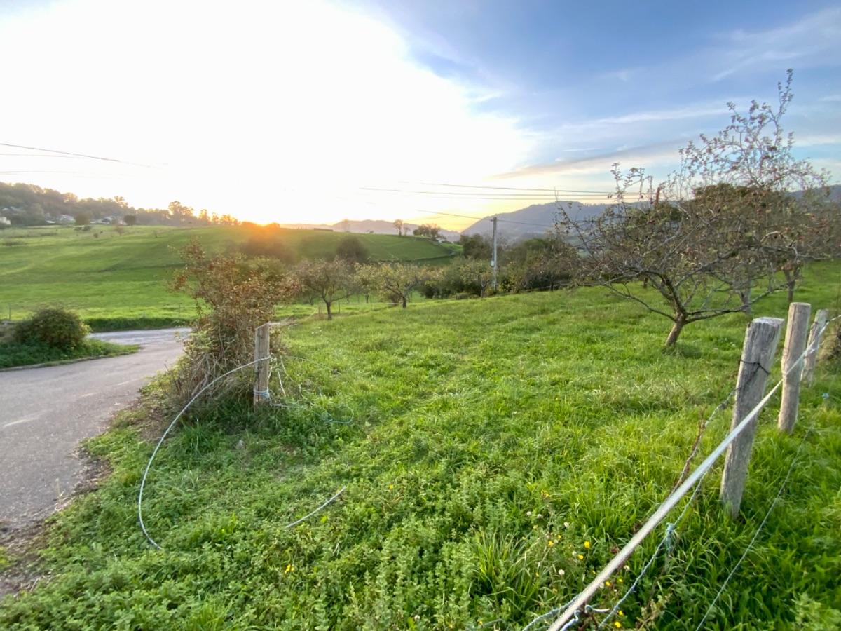 Venta de terreno en Piloña