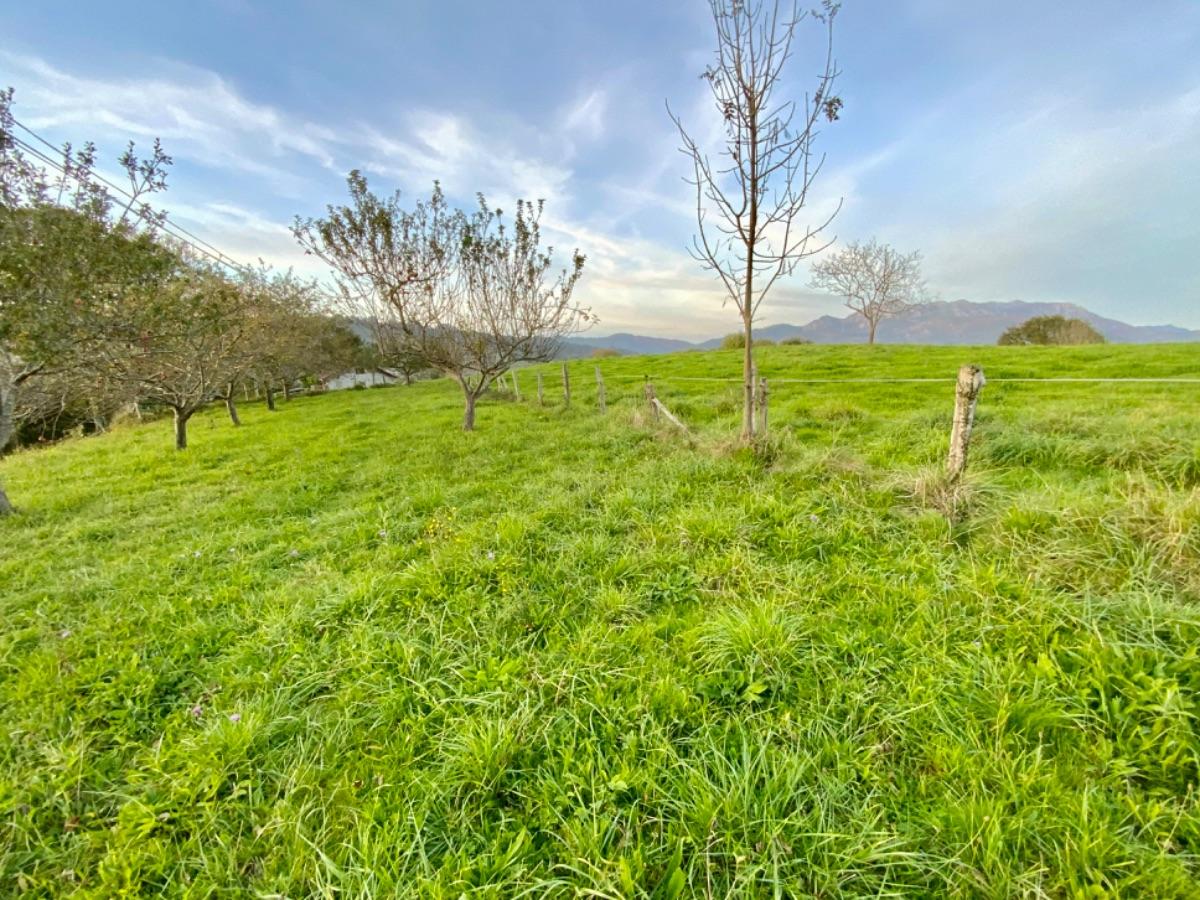 Venta de terreno en Piloña