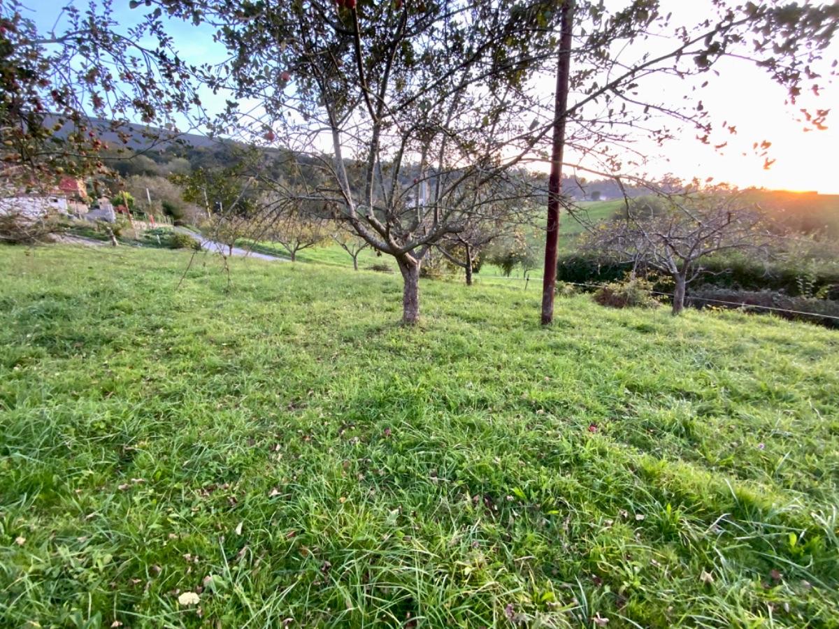 Venta de terreno en Piloña