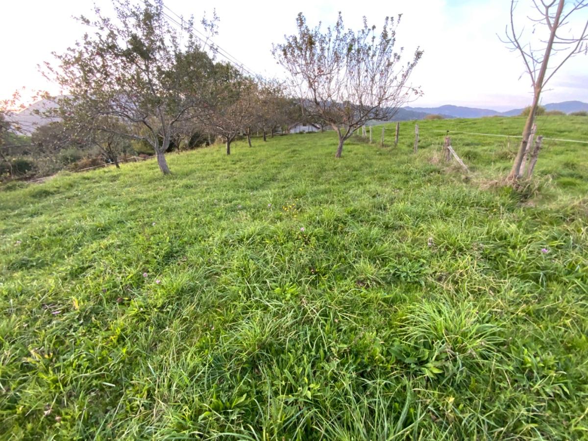 For sale of land in Piloña