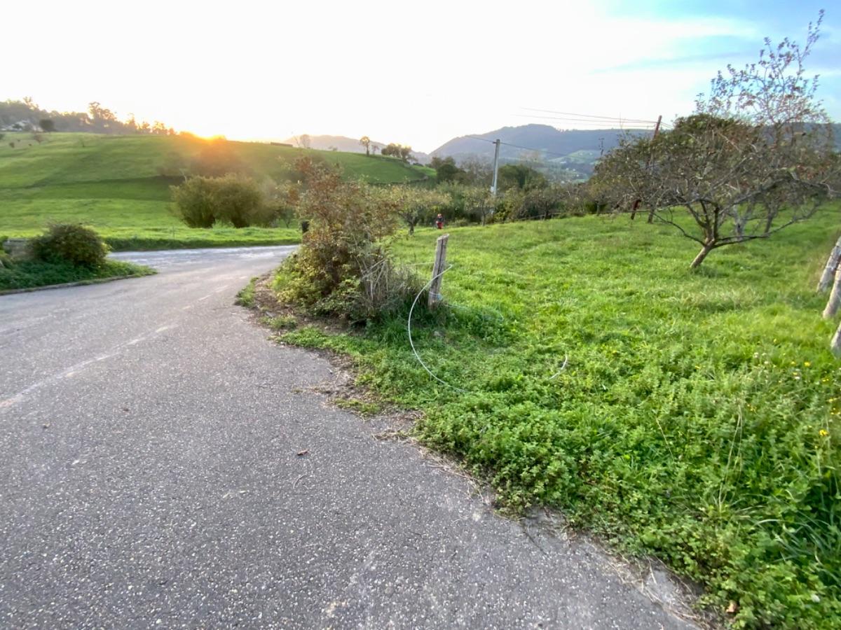 Venta de terreno en Piloña