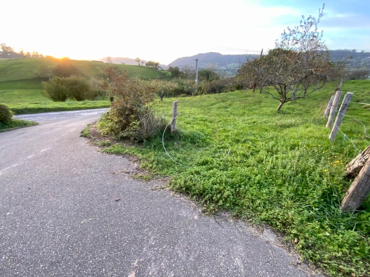 Venta de terreno en Piloña