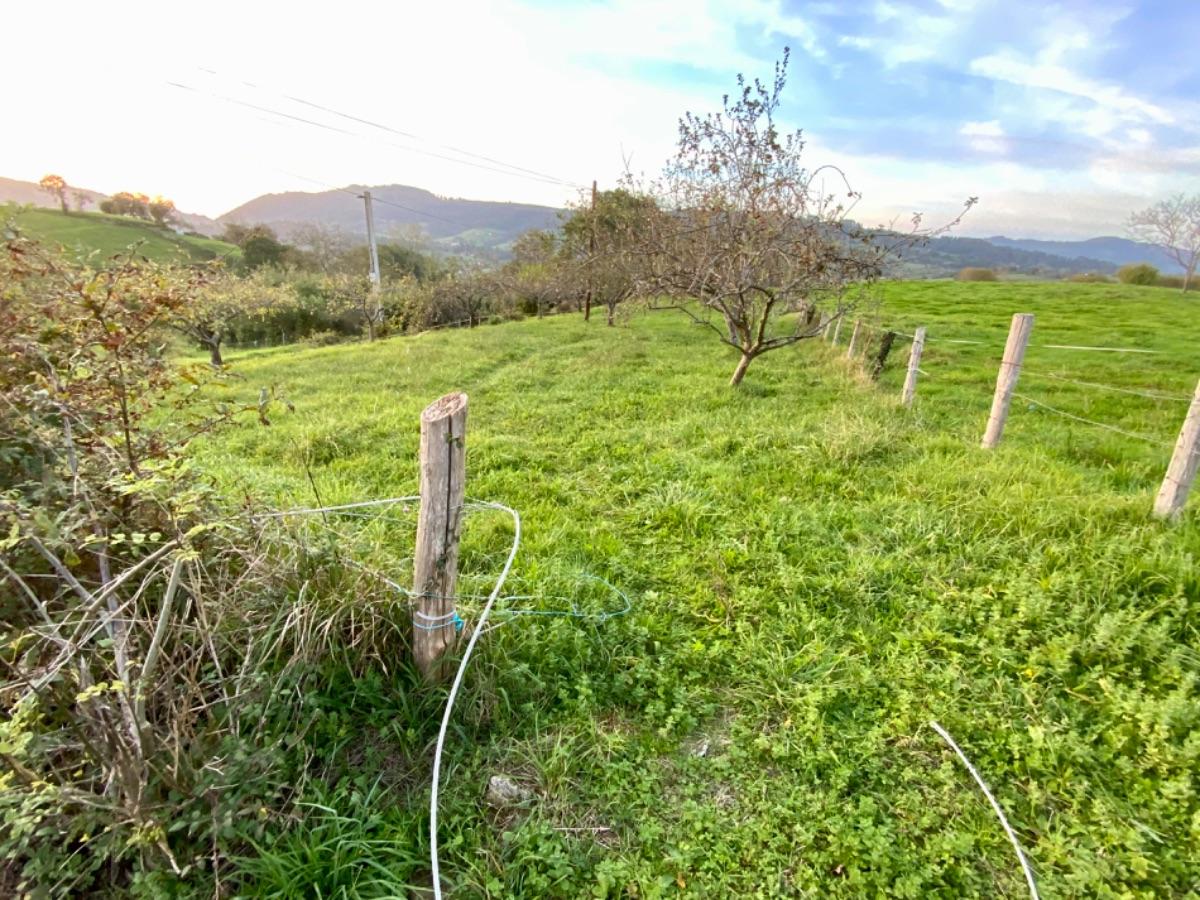 For sale of land in Piloña