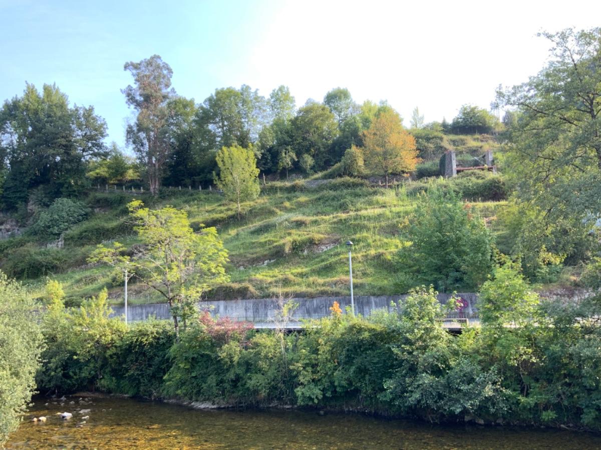 Venta de terreno en Piloña