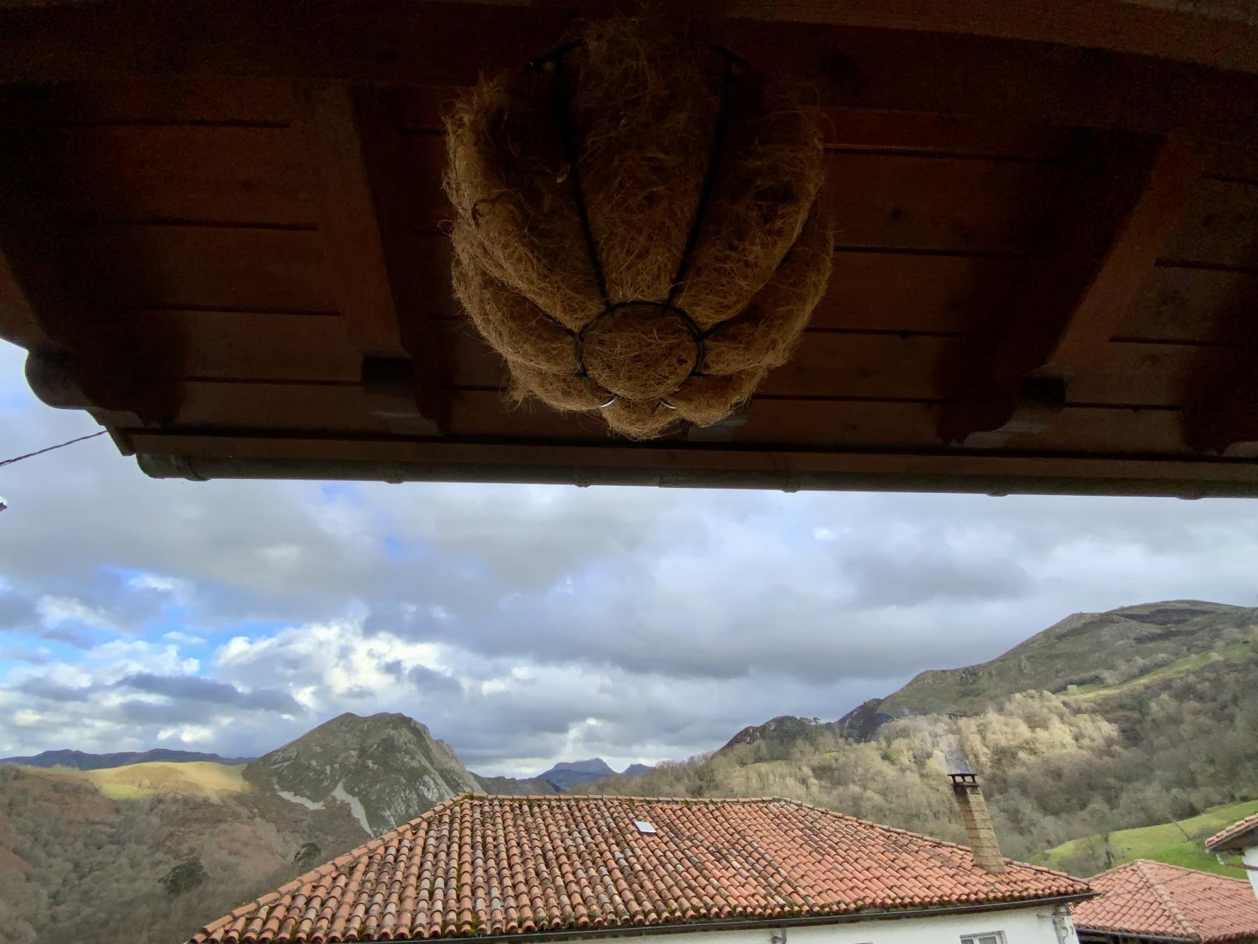 Venta de casa en Piloña