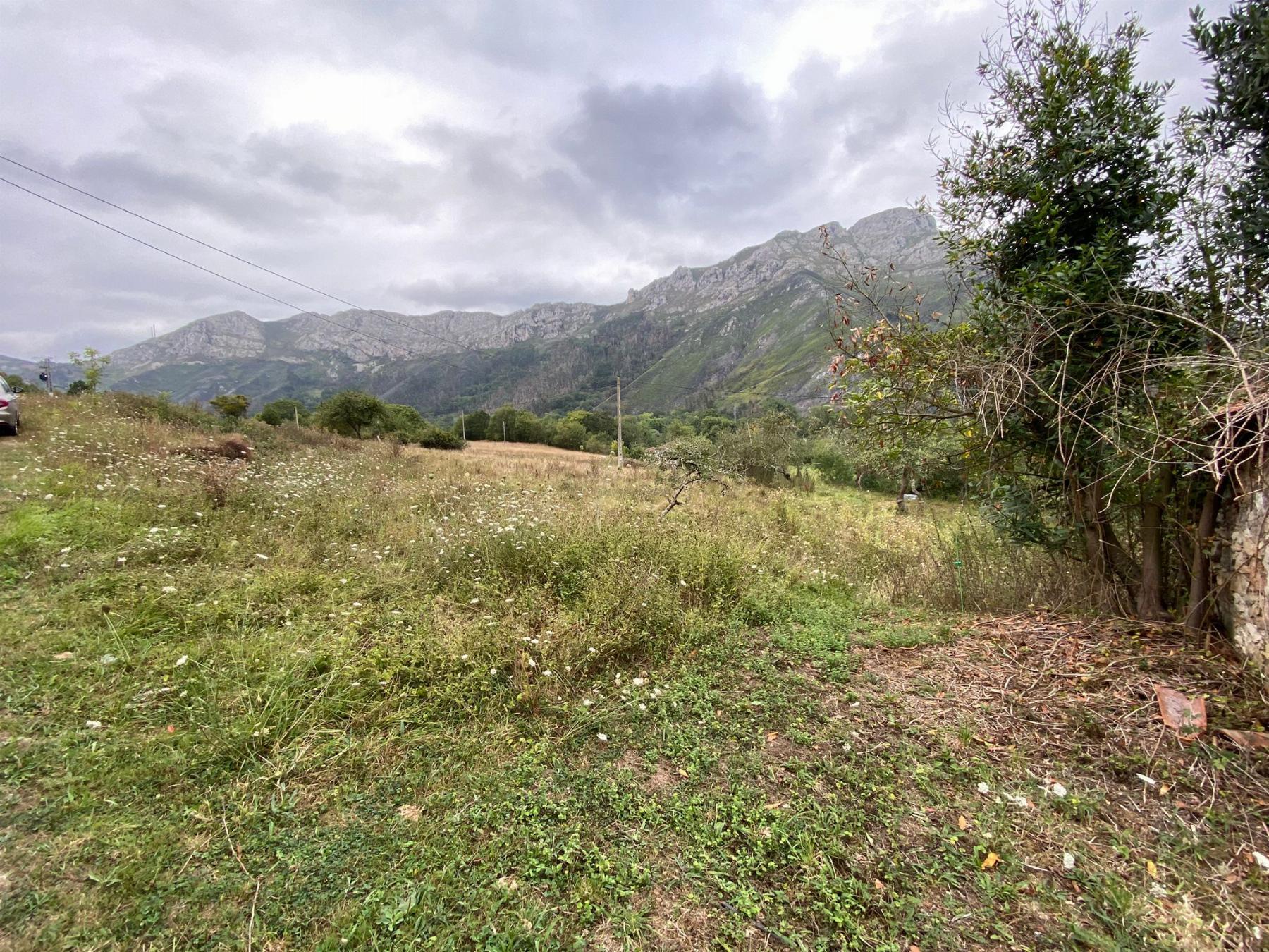 Venta de casa en Cangas de Onís Concejo