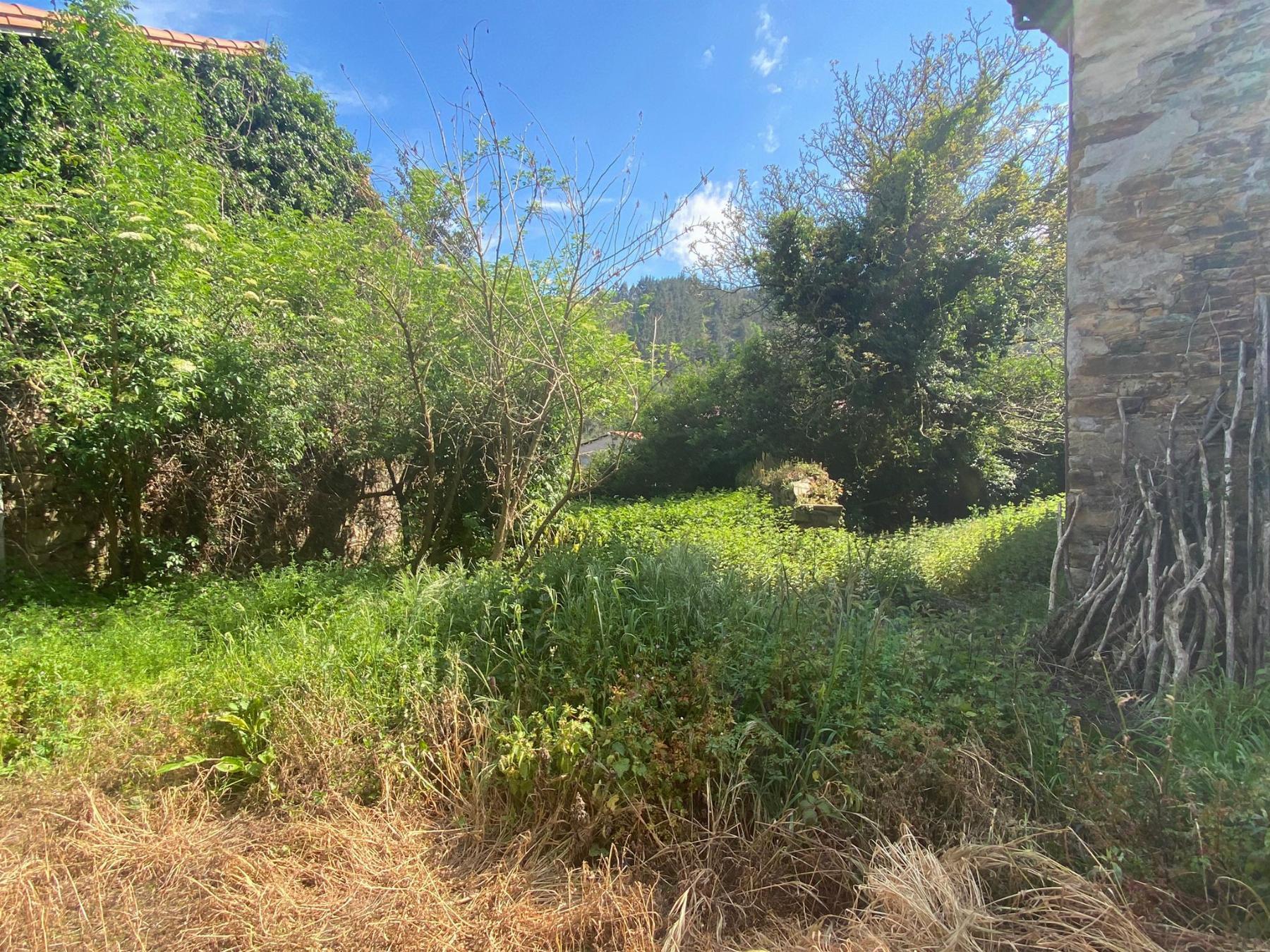 For sale of house in Salas Concejo