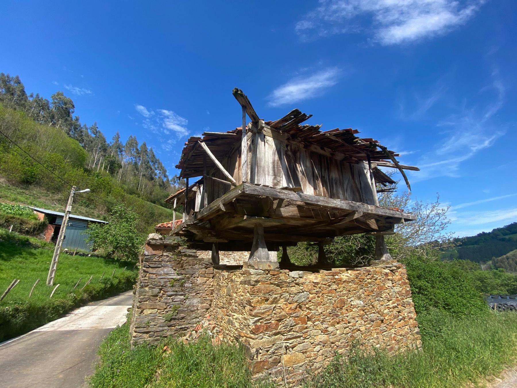For sale of house in Salas Concejo