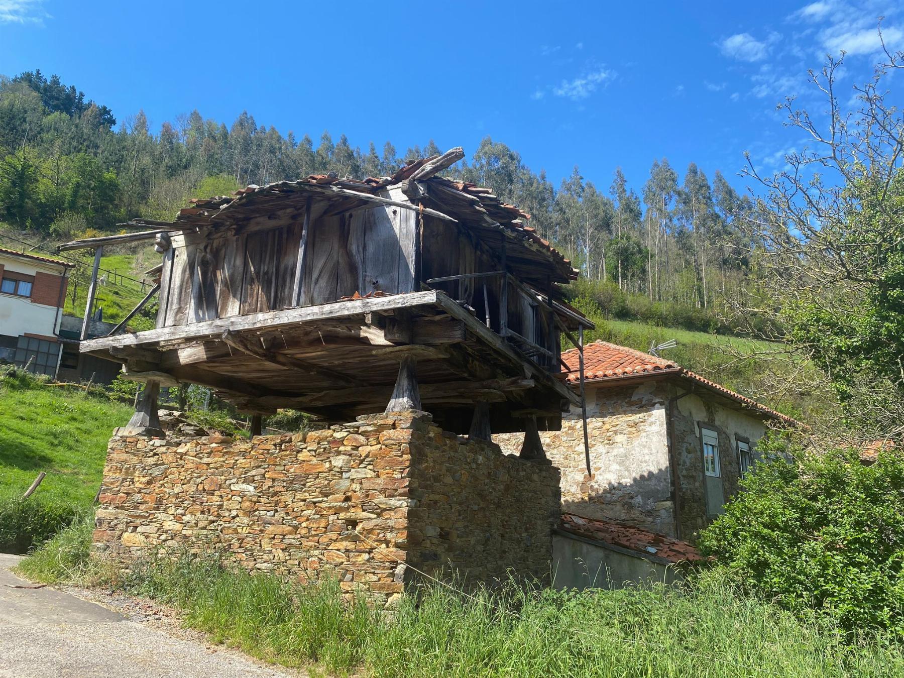 For sale of house in Salas Concejo