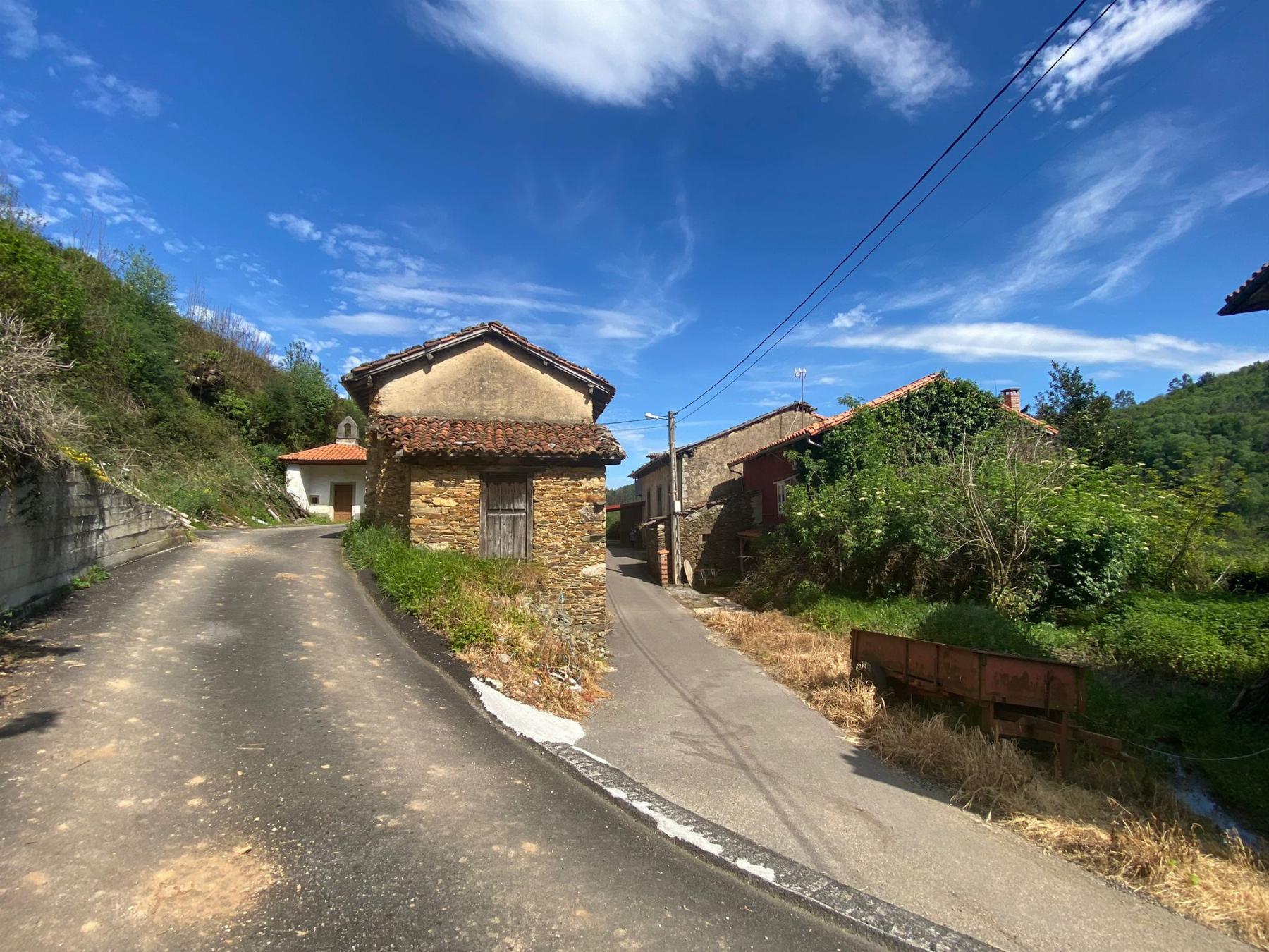 For sale of house in Salas Concejo