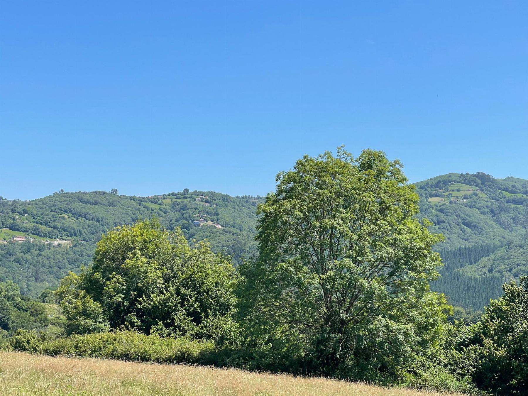 For sale of house in Siero