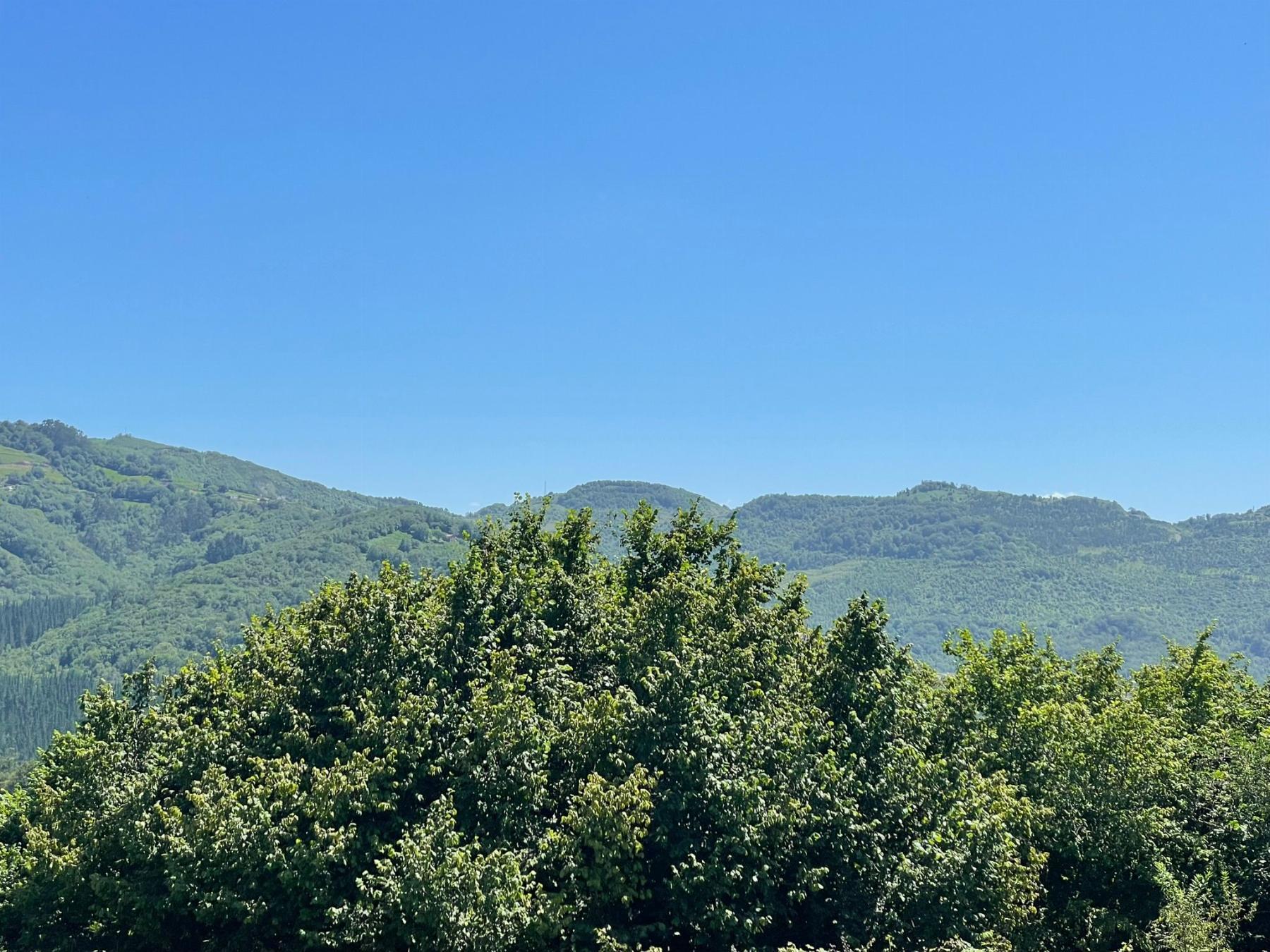 For sale of house in Siero