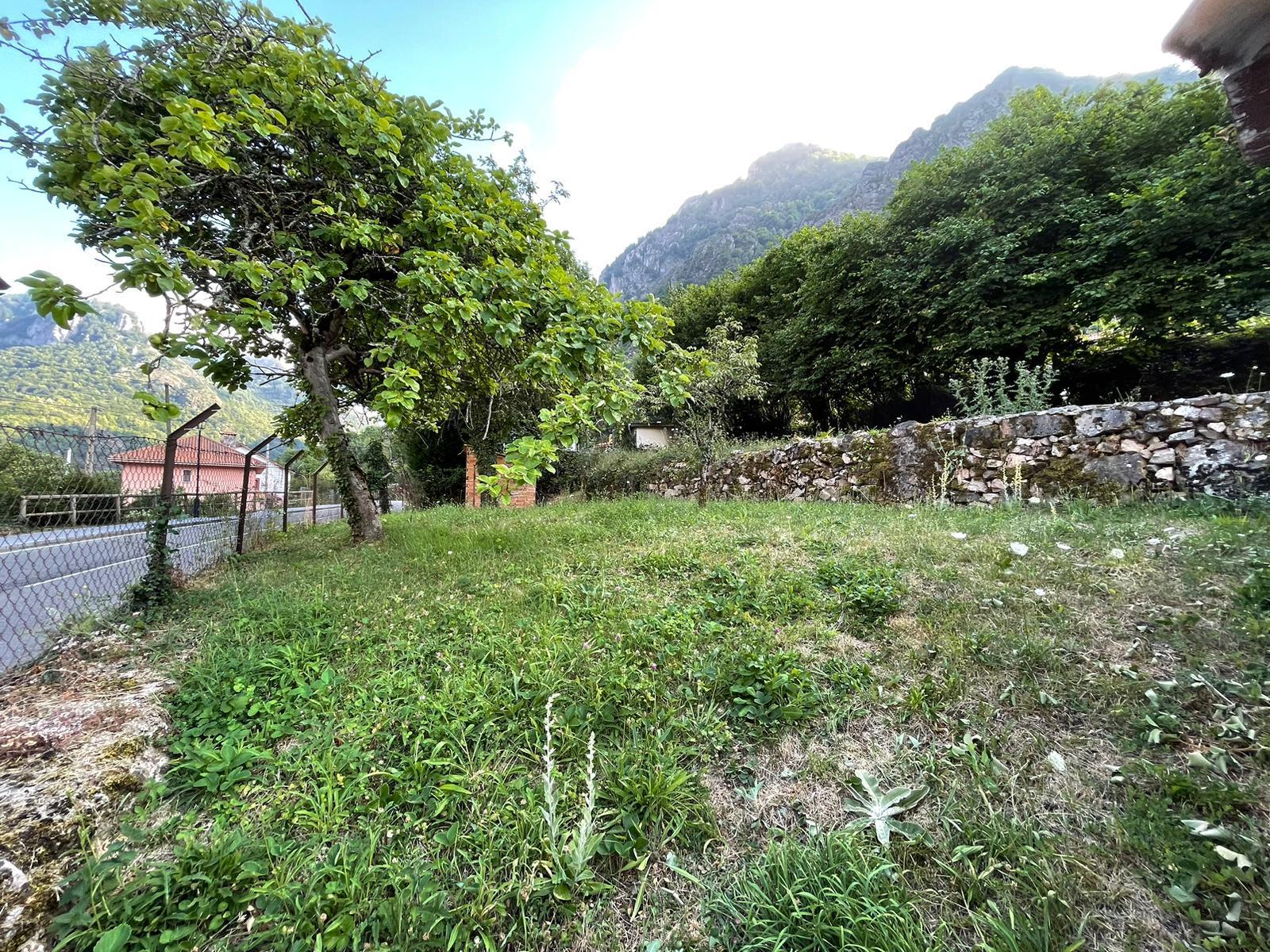 For sale of house in Somiedo