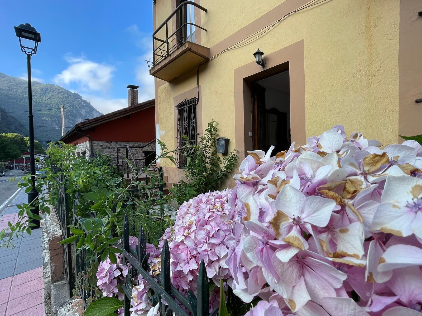 For sale of house in Somiedo