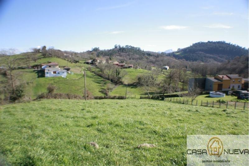 For sale of land in Siero