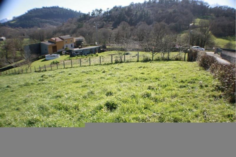 For sale of land in Siero