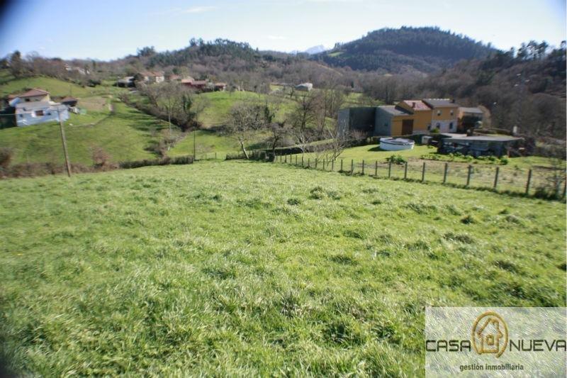 For sale of land in Siero