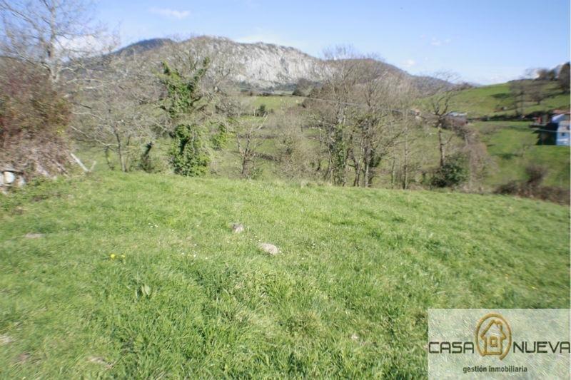 For sale of land in Siero