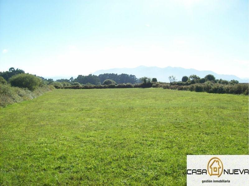 For sale of land in Villaviciosa