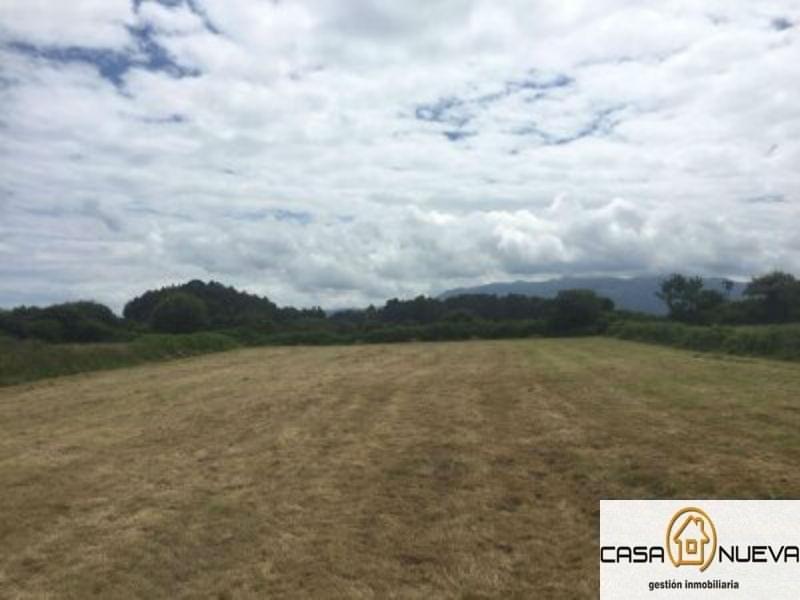 For sale of land in Villaviciosa