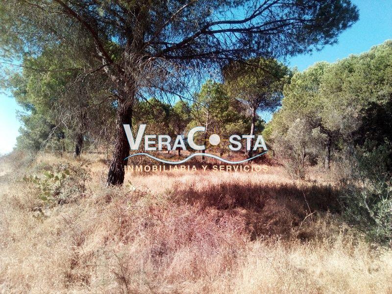 For sale of land in Isla Cristina