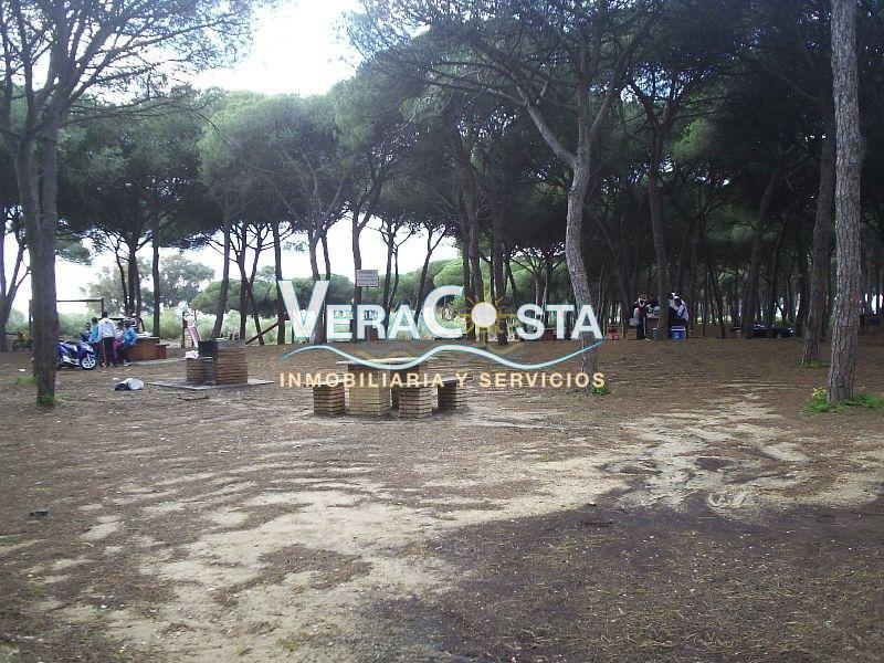 For rent of apartment in Isla Cristina