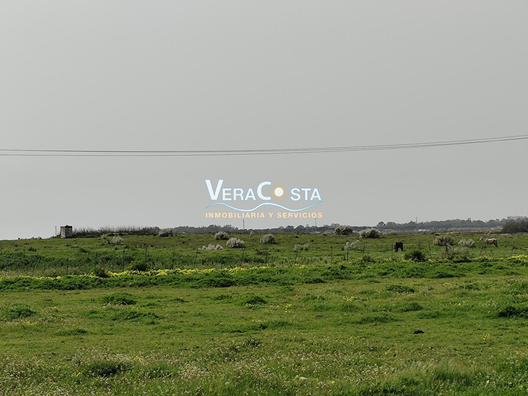 Vistas