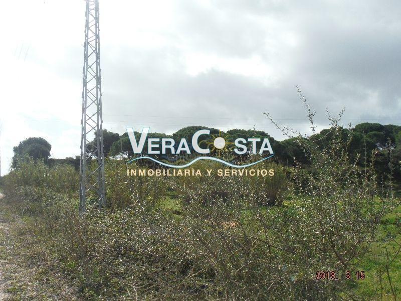 For sale of rural property in La Redondela