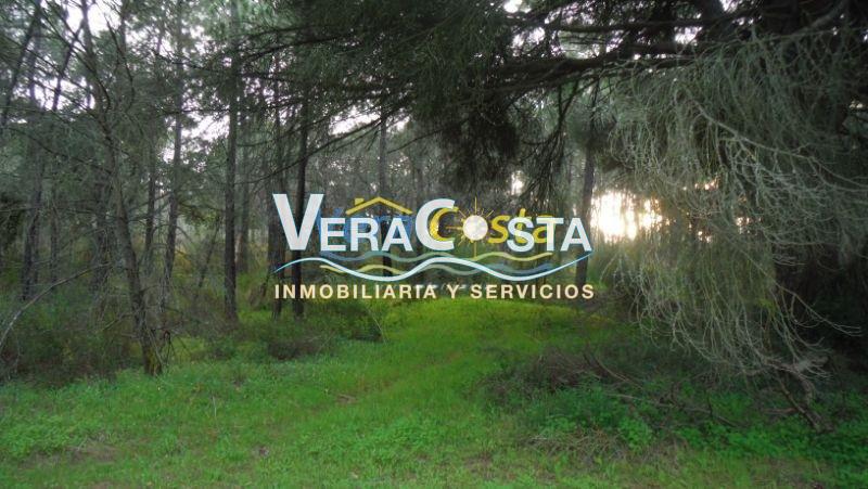 For sale of land in Villablanca