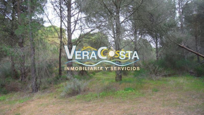 For sale of land in Villablanca