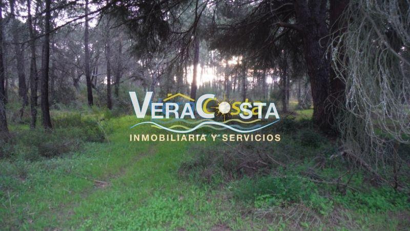 For sale of land in Villablanca