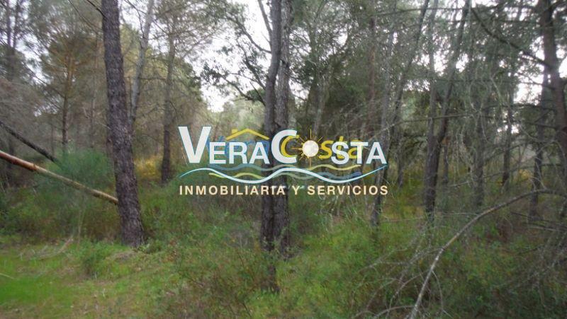For sale of land in Villablanca