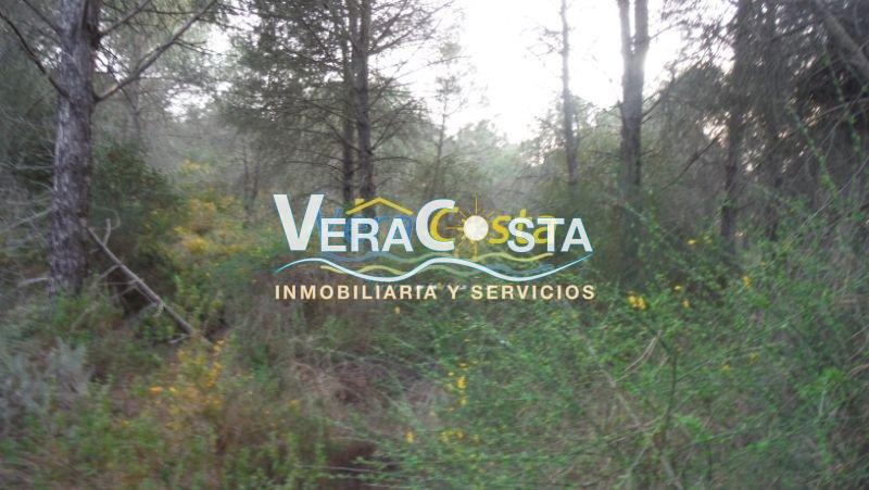 For sale of land in Villablanca