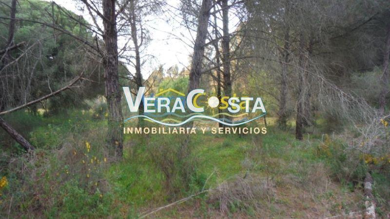 For sale of land in Villablanca