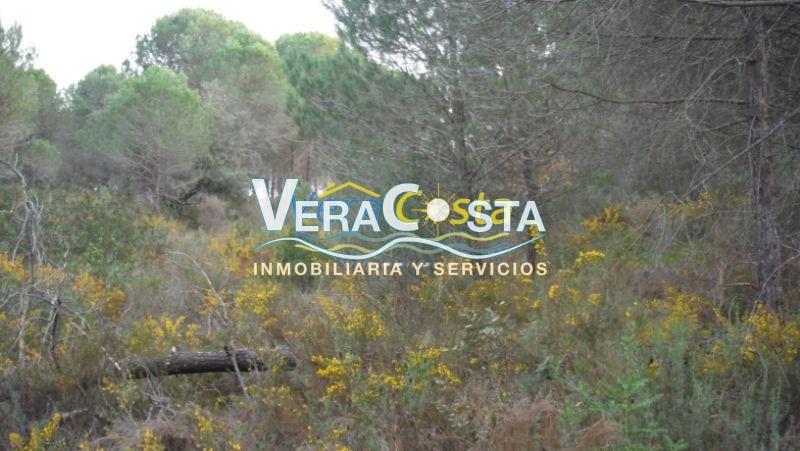 For sale of land in Villablanca