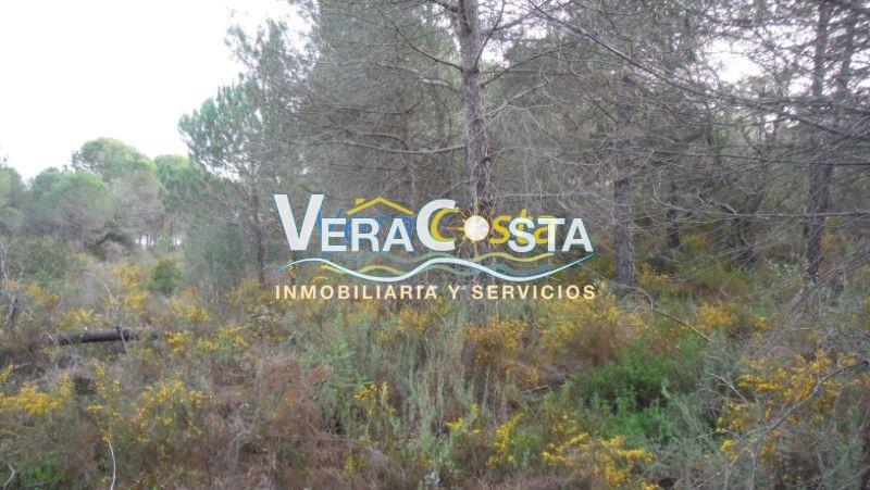 For sale of land in Villablanca